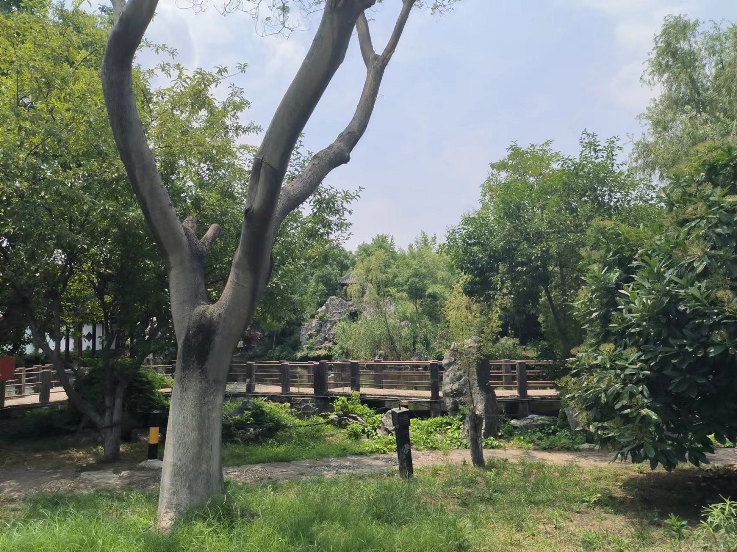 某園林資產(chǎn)價值評估.jpg